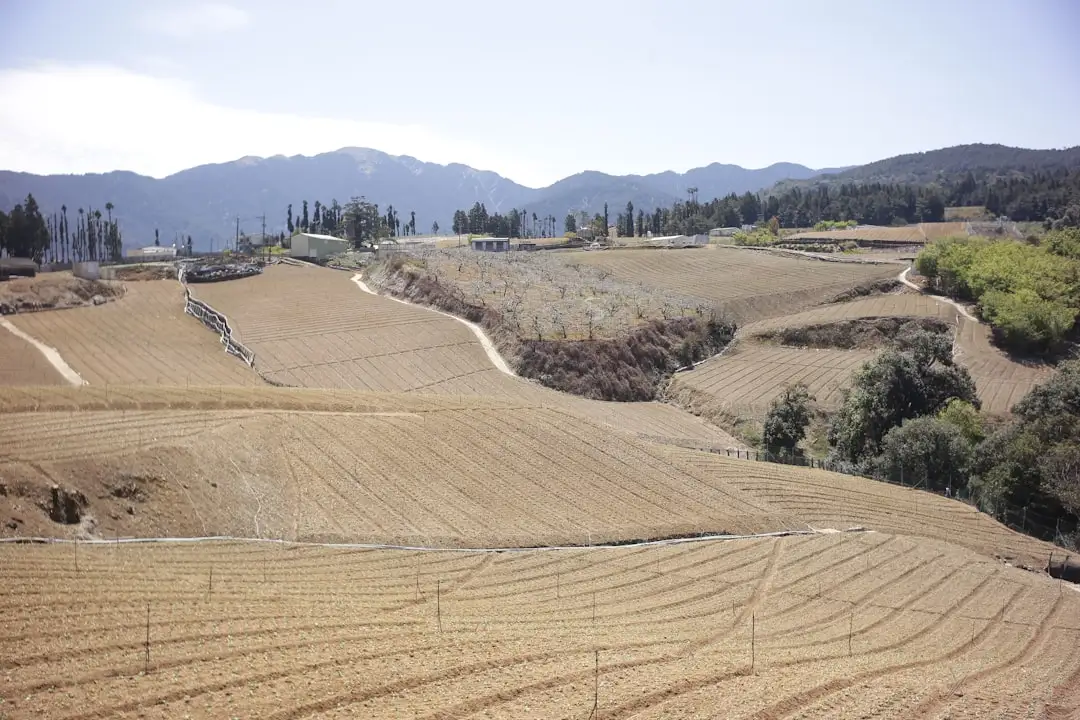 智慧照明系统在华中地区市政园区中的节能改造方案与实施要点